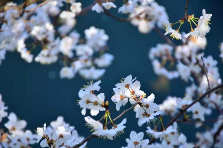 千秋文脉，盛世风华！湖南大学：威仪临天下，卓著堪一流！