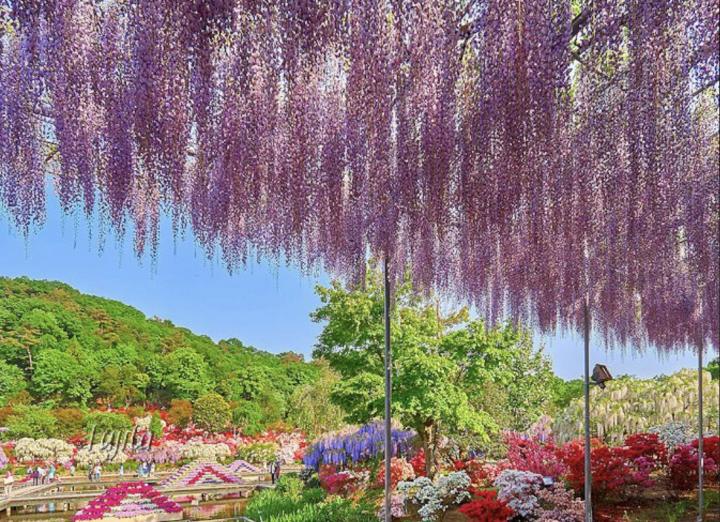 关东一日游最佳路线,关东二日游