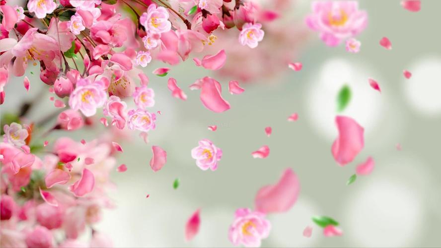 赞美春天和美人的古诗词名句,最美春天古诗句子摘抄