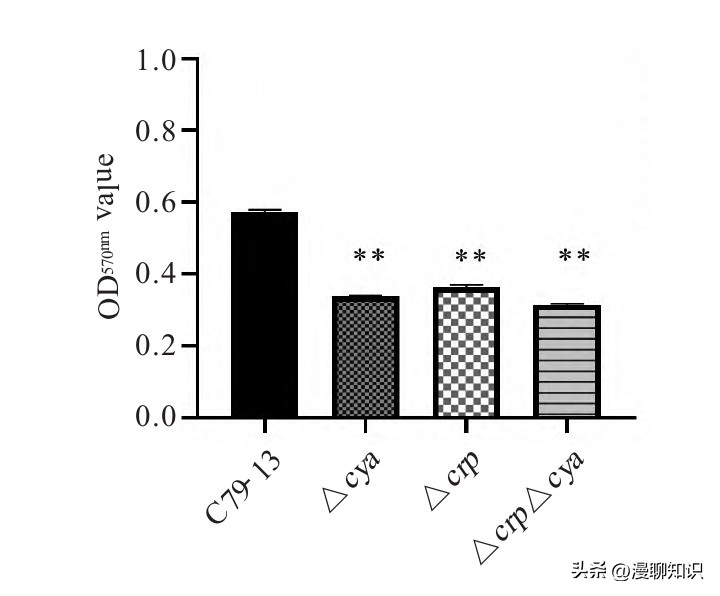 鸡沙门菌能引起鸡白痢吗,鸡白痢沙门氏菌病的研究进展