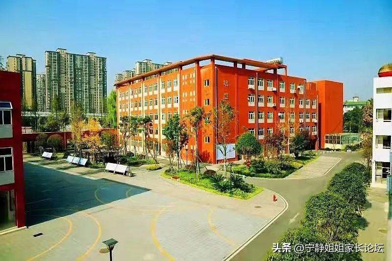 新都区2023年中考回城生报名须知