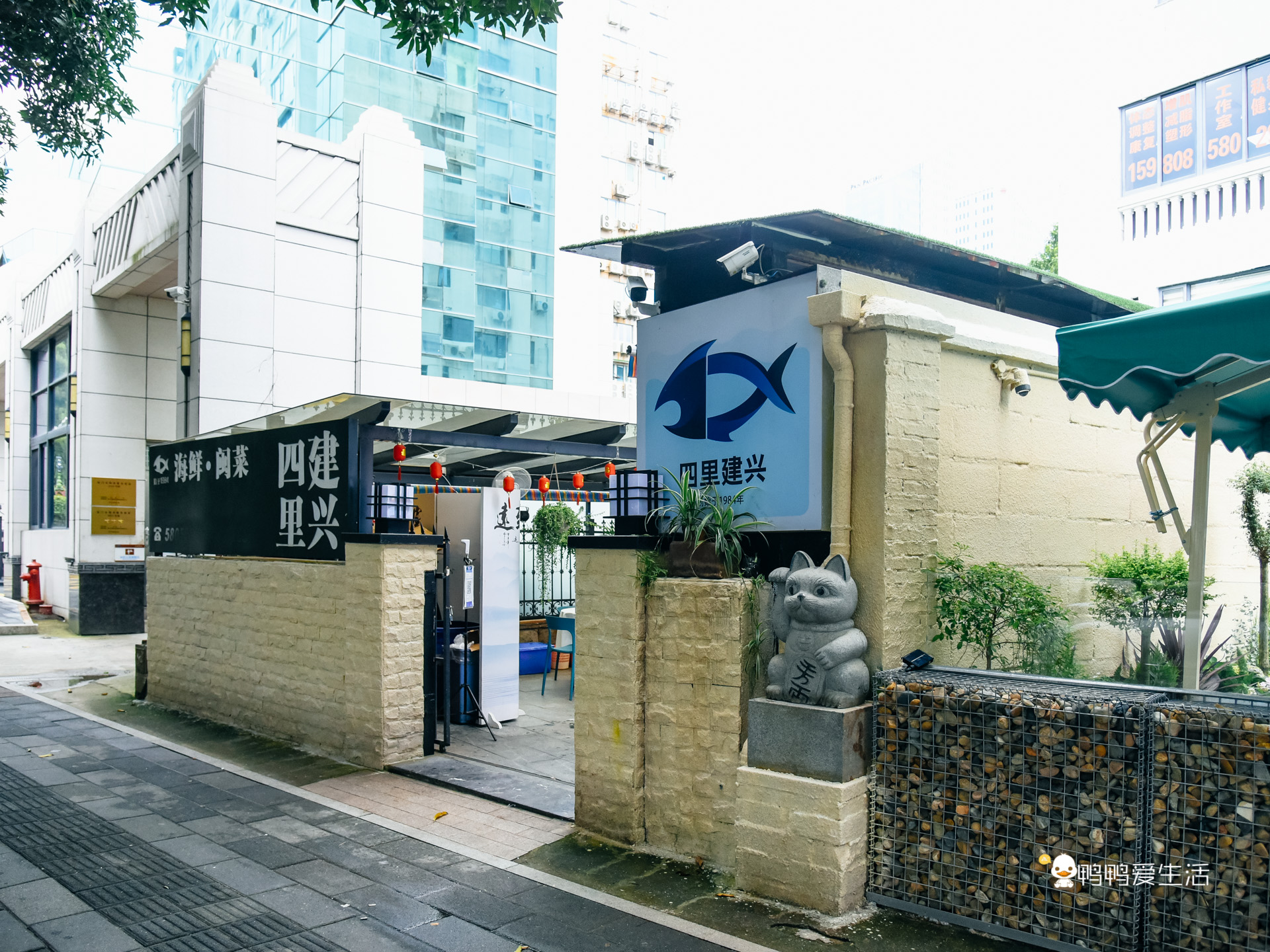 老厦门人都知道的四里建兴，开业近40年，红花蟹还能一蟹六吃