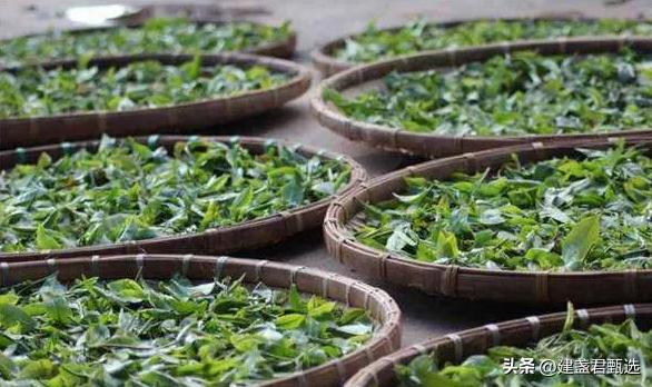 茶叶暴利的真实秘密,茶叶为什么那么暴利