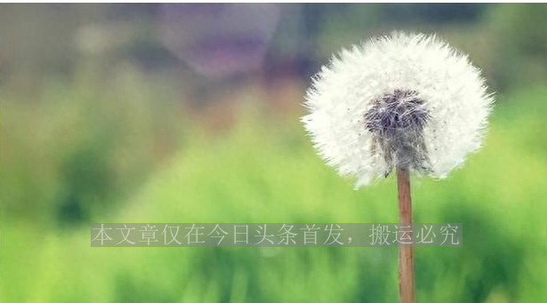 60岁的少女马兰,没有皱纹也没有赘肉,余秋雨娶她堪比获诺贝尔奖