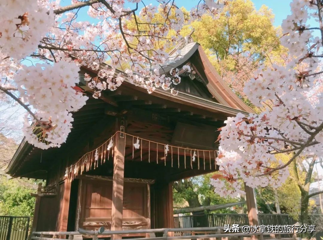 全球第八家宝格丽,最新的宝格丽酒店