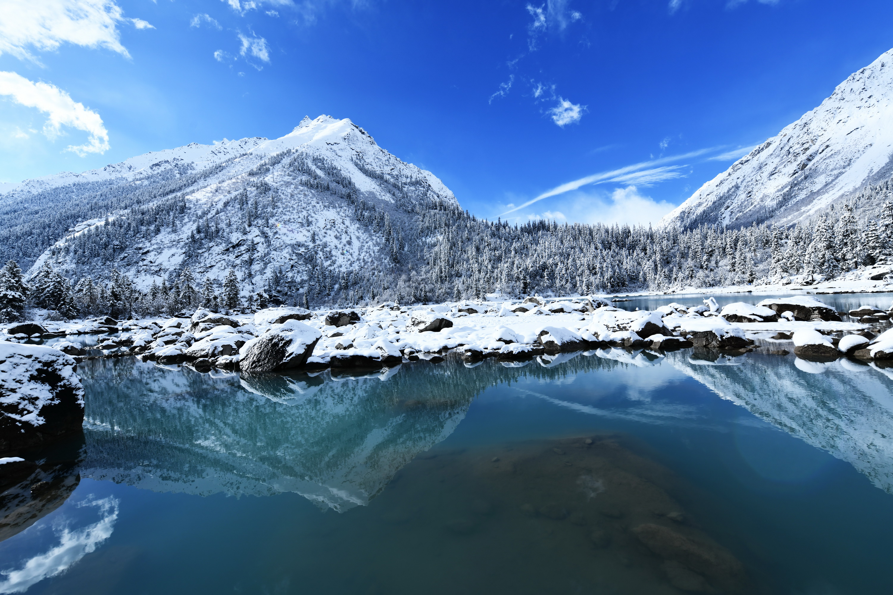 雪域林芝桃花图片 (在雪域江南西藏林芝邂逅漫山桃花)