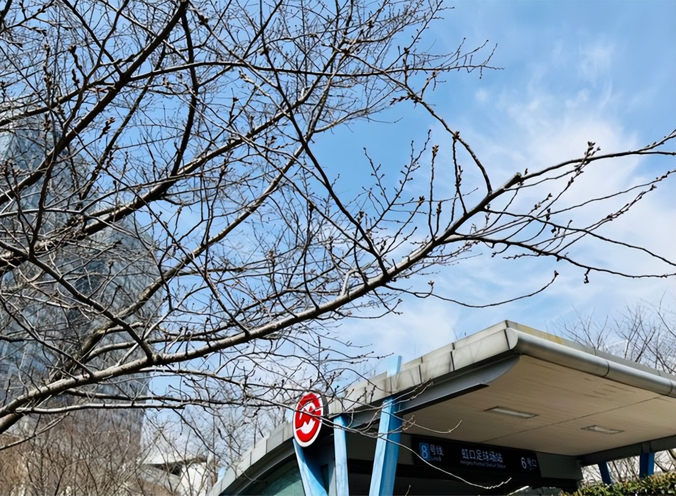 虹口又上热搜啦！这次是因为它→