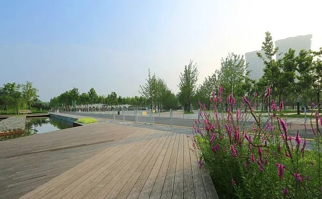 12月南京有哪些免费景点,南京市民免费旅游景点