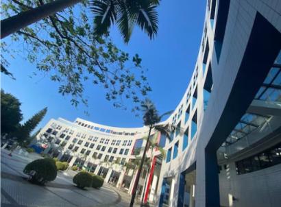 解读港校15所香港大学,香港十大名校大学排名