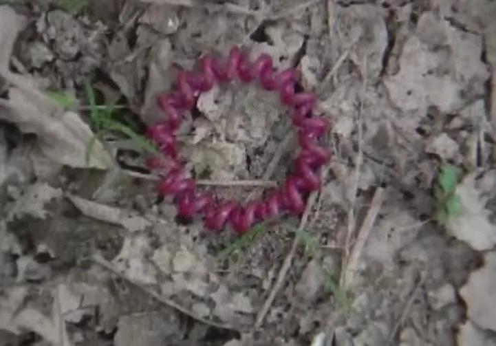 花季少女被杀抛尸逃13年,18岁少女被杀惨遭抛尸破案