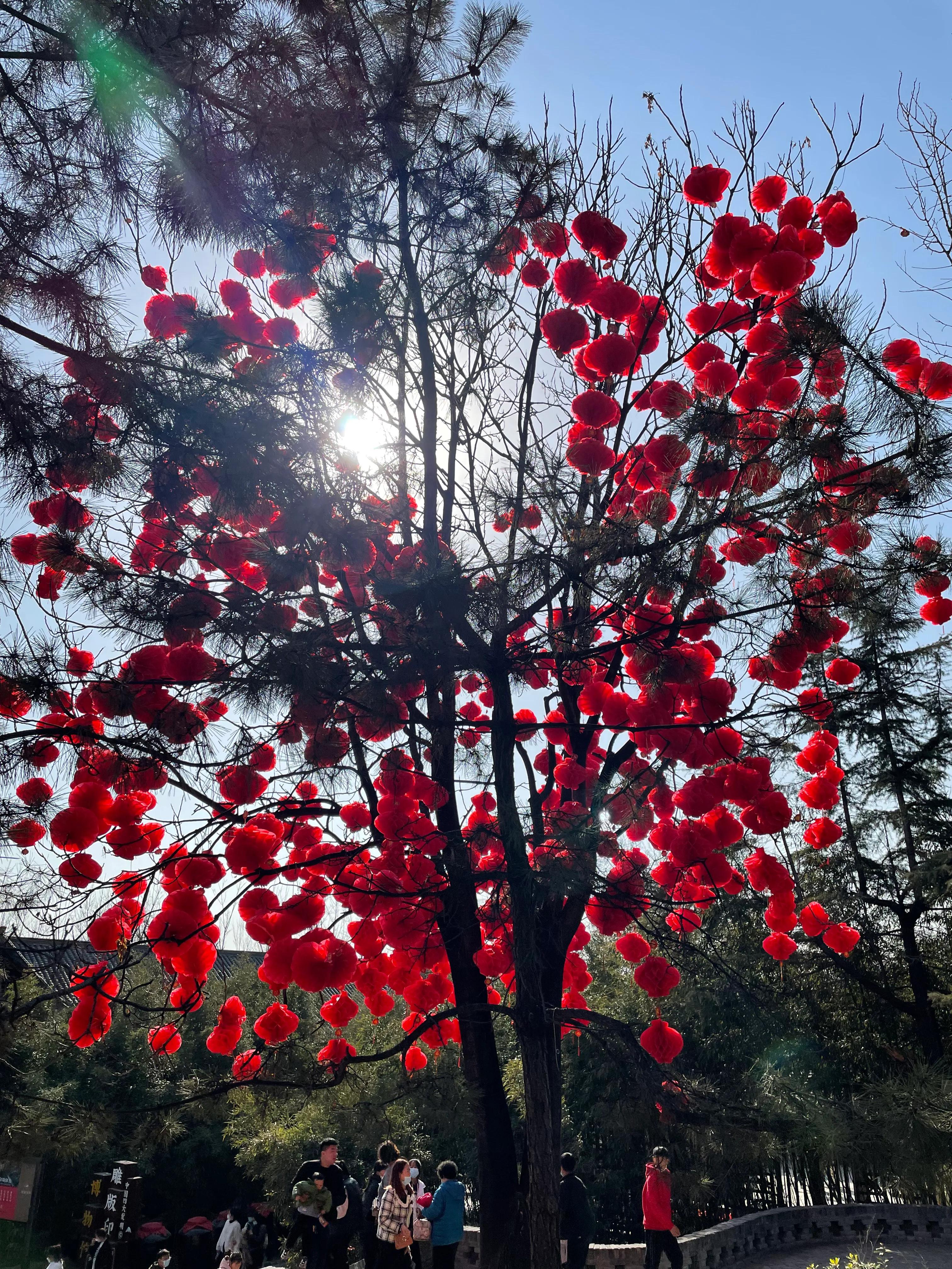 开封好吃好玩攻略,开封逛吃的地方推荐