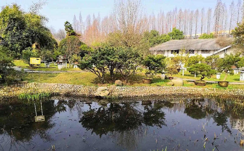 南京栖霞区免费游玩景点推荐,南京一百个免费景点