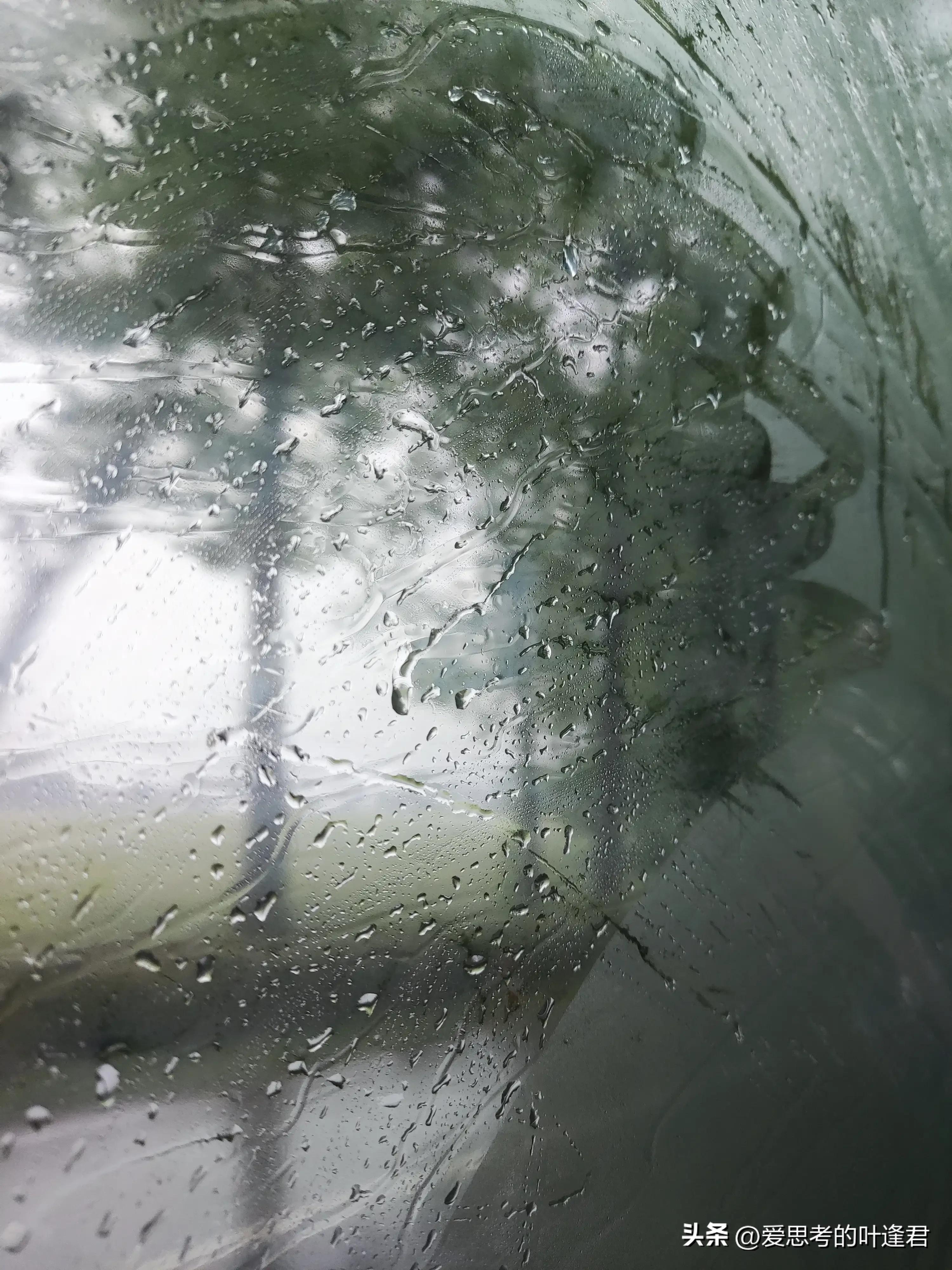 员工需要知道的五险基本常识,五险你必须要知道的