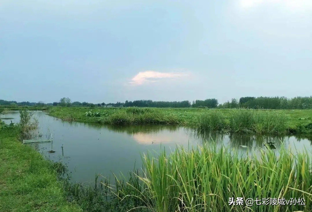 德州陵城东方,德州陵城智圣故里