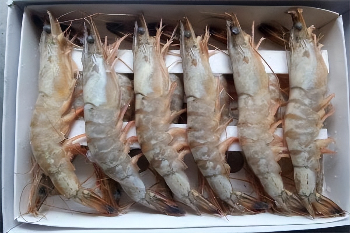 挑虾的时候买弯的还是直的,大虾是海水虾还是河虾