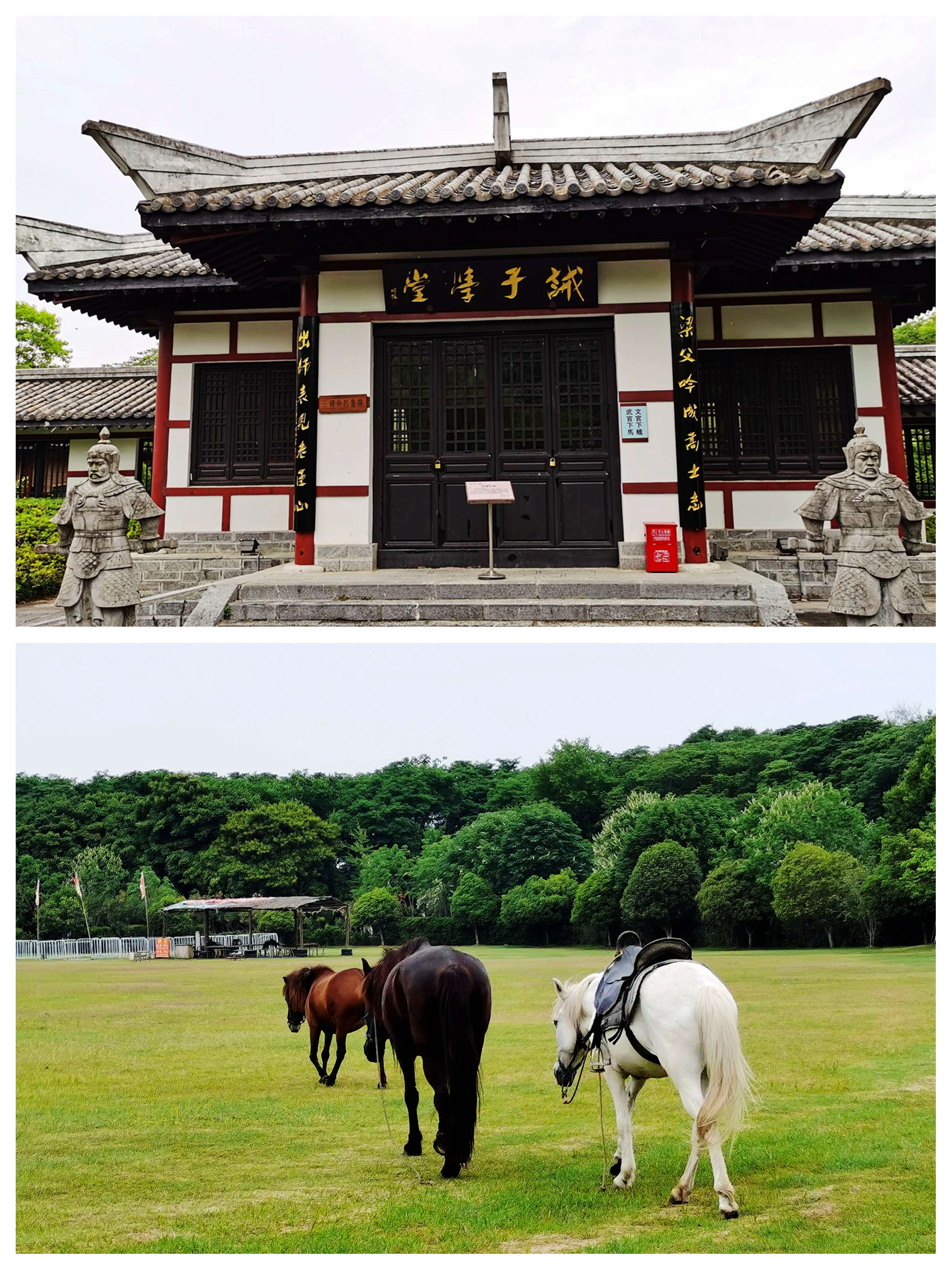 三国遗址公园合肥简介,关于合肥三国遗址公园景点介绍