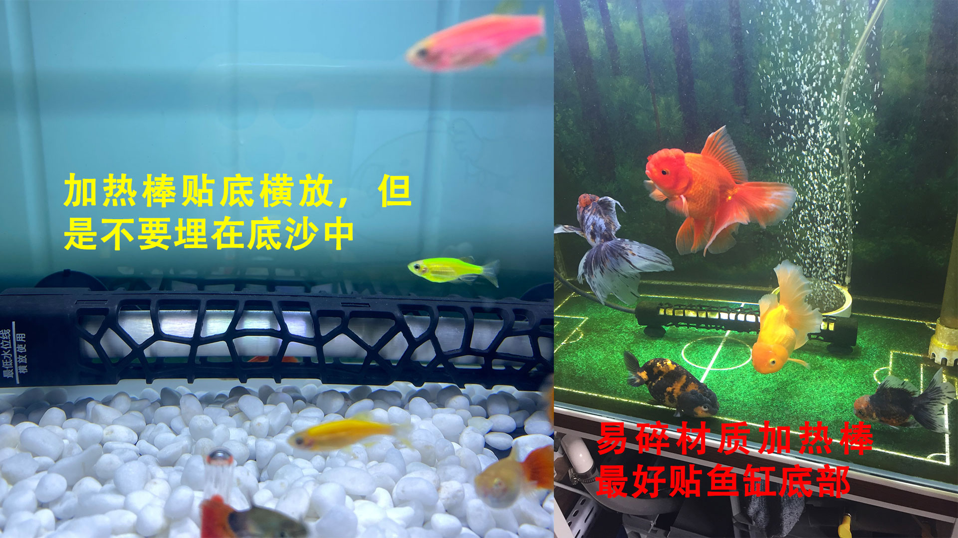 鱼缸加热棒瓦数大好还是小好,加热棒瓦数与温度