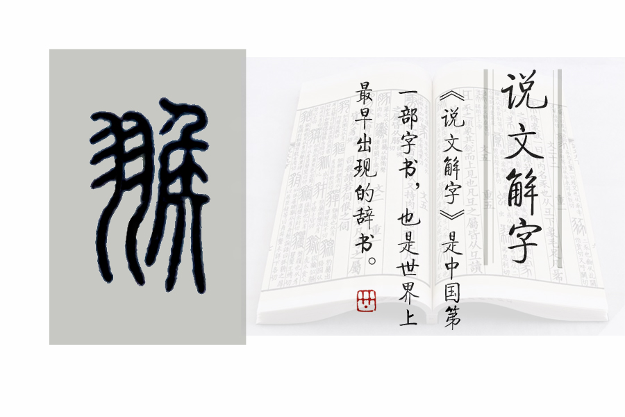 《说文解字》第692课：成语“羽翮飞肉”的“翮”是什么意思？