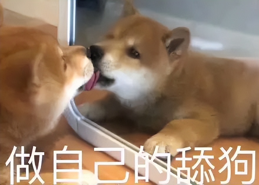 七匹狼腰带搞笑视频,被七匹狼打是一种什么感觉