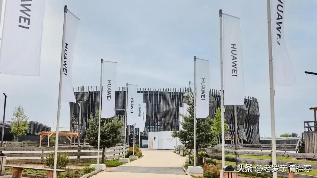 华为mate60鸿蒙系统体验,华为mate60用的鸿蒙什么系统