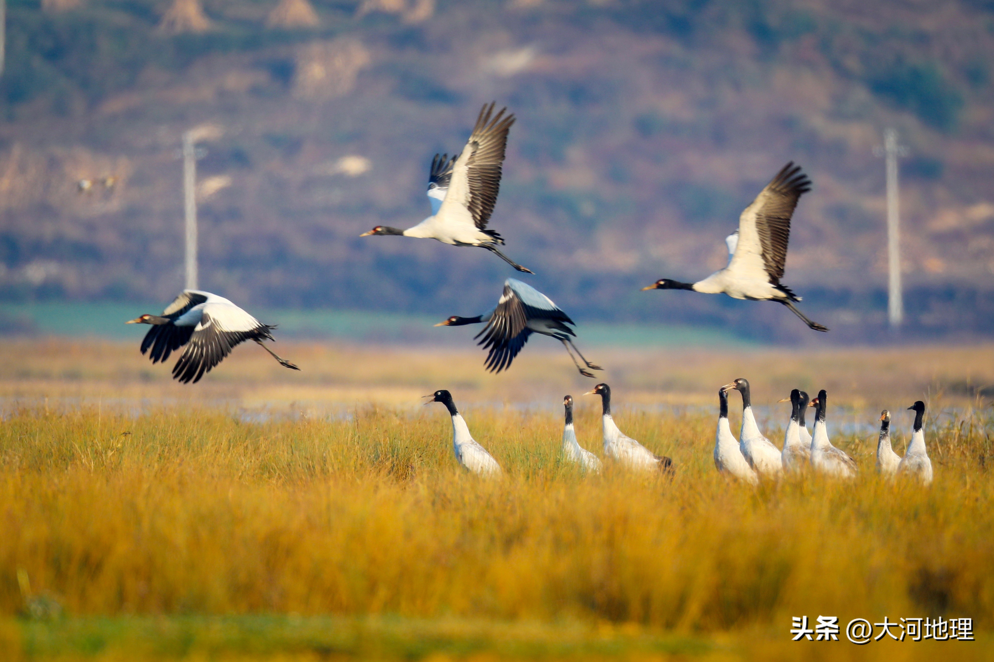 中国南方这30个景点,难说多知名,但敢说它的秋色最艳最浪漫