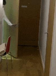 “易孕体质是种什么样的感受？”哇哈哈哈哈太真实了