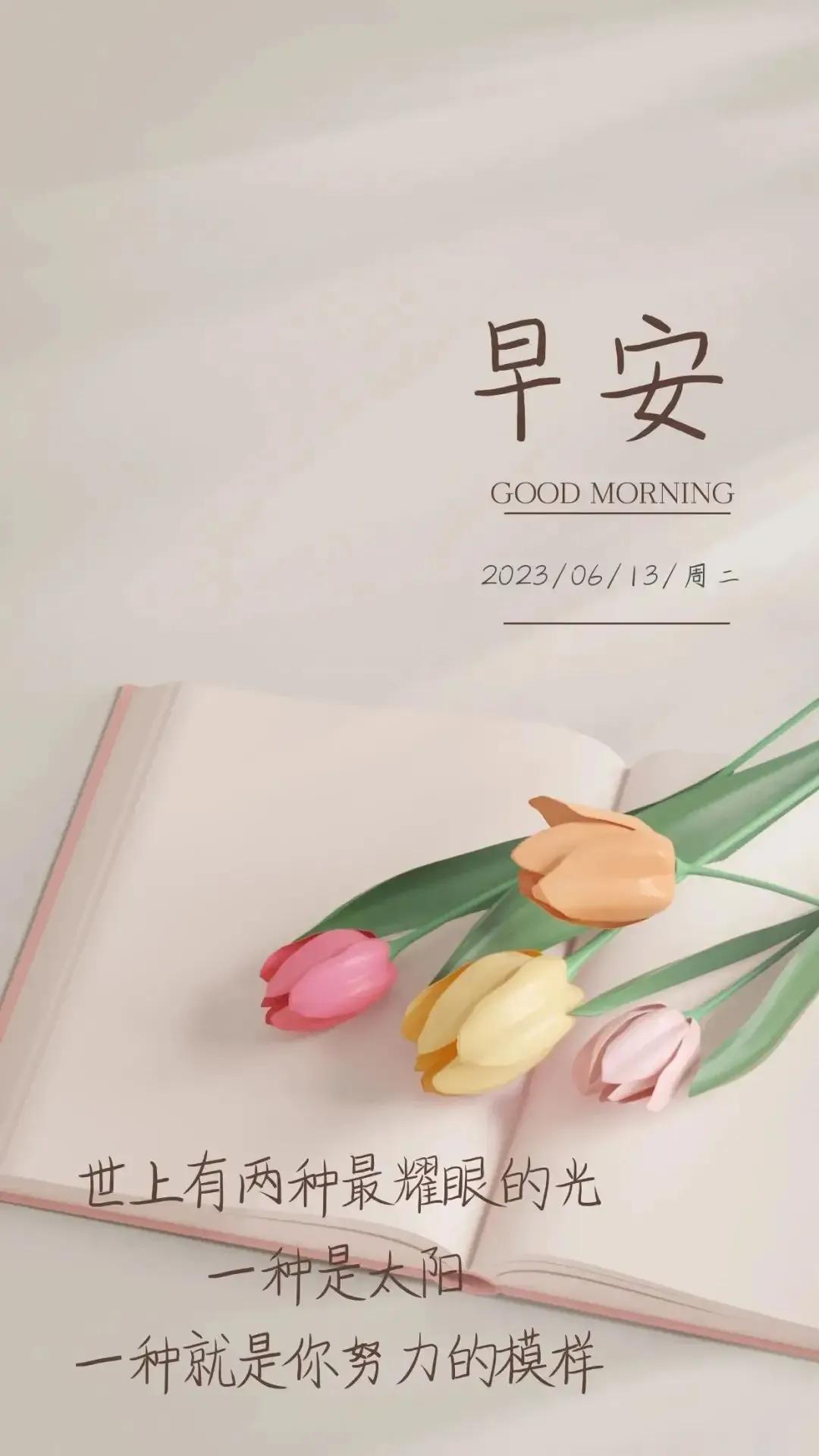 乙木命2023年癸卯年运势怎样,农历2023年癸卯年正月结婚吉日