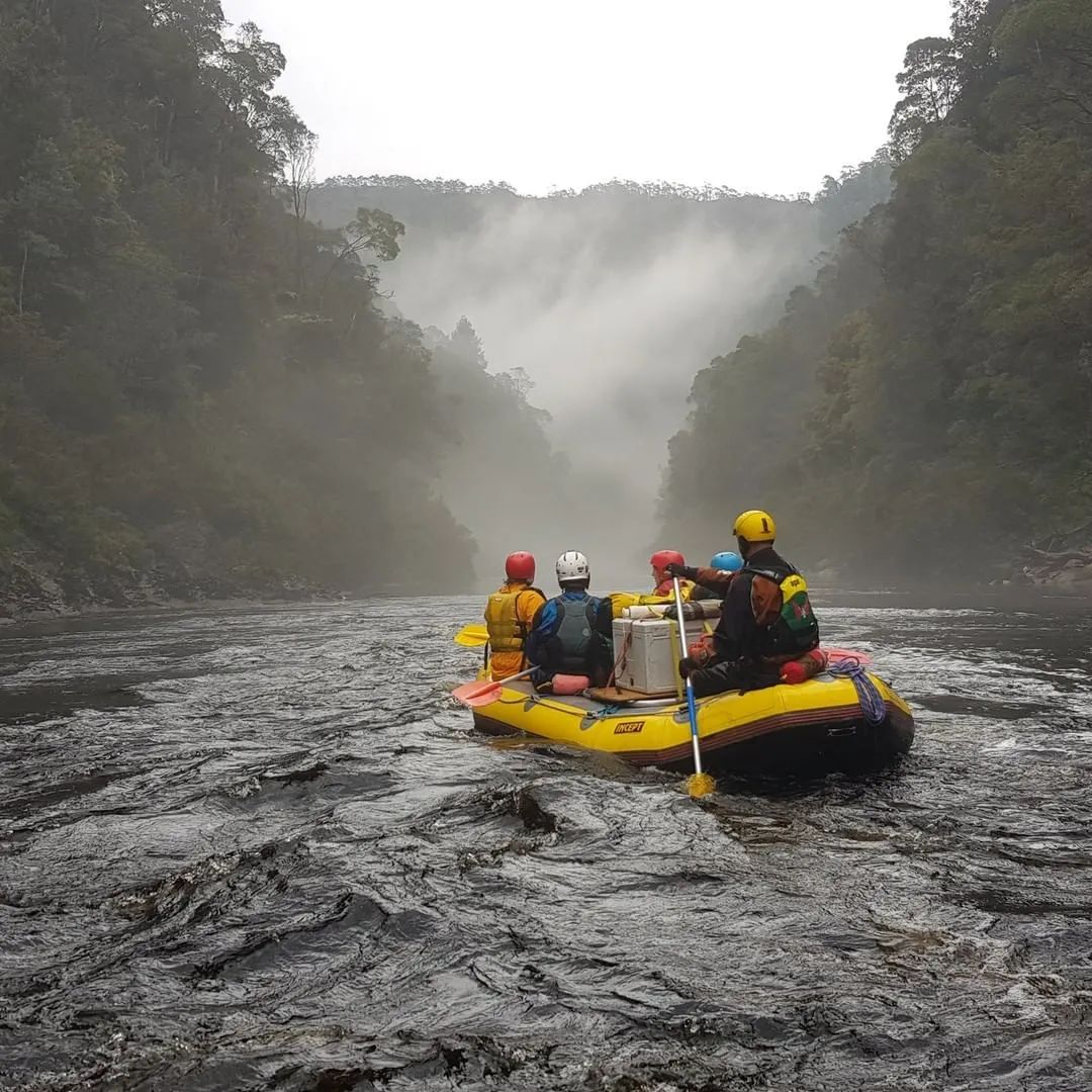 澶忓ぉ姘翠笂娉涜垷,澶忓ぉ娉涜垷娴蜂笂