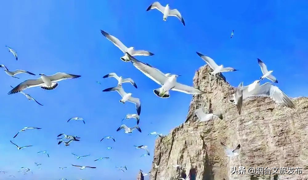 长岛一日免费游,520景点免费