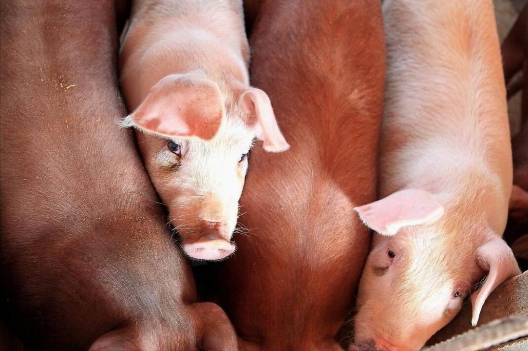 北欧生活真的富裕吗,北欧怎么变得富裕发达