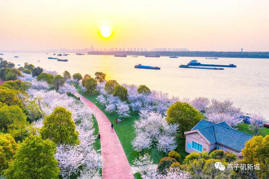 实地踩盘视频教程,南京看房燕子矶