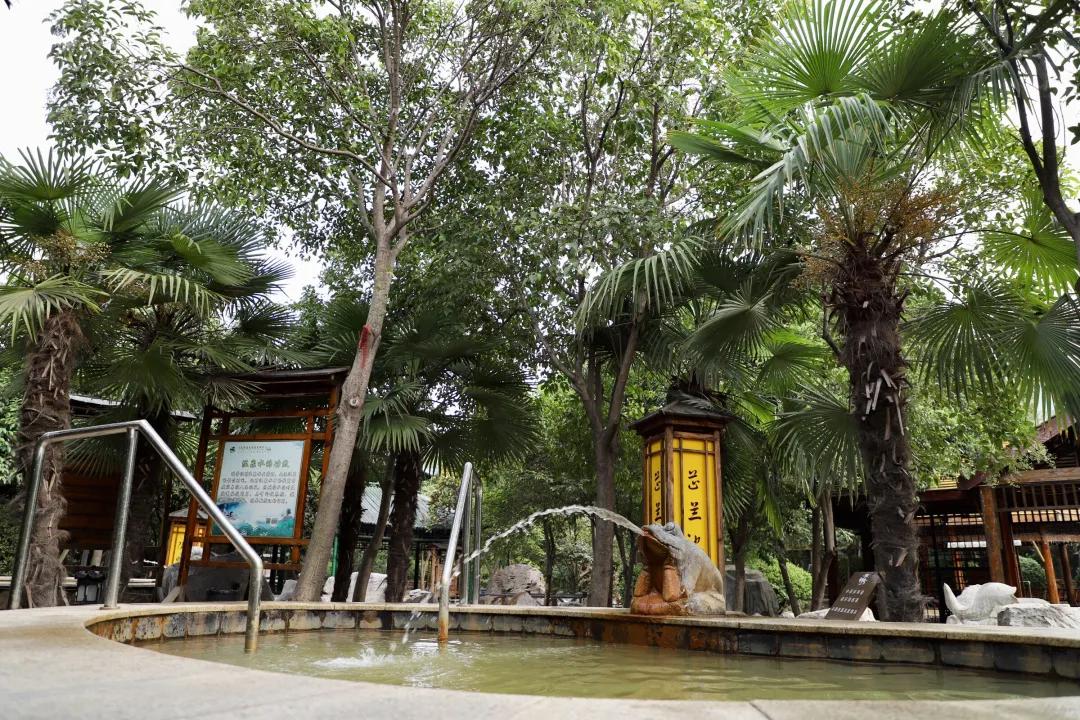 新盈泰温泉度假村娱乐设施,新盈泰温泉美食