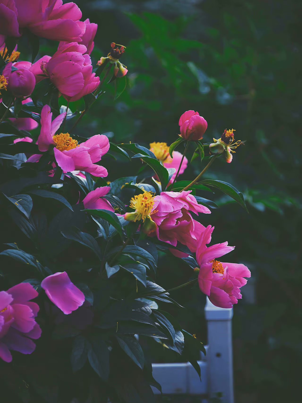 人生苦短其实不完美是生活的常态,人生无常一切都是最好的安排