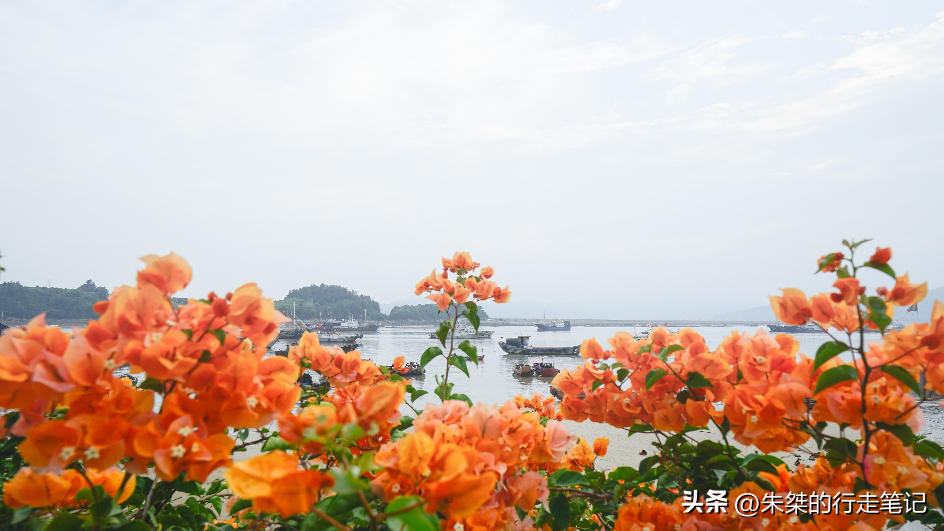 苍南古村落景点打卡,苍南有什么适合打卡的景点