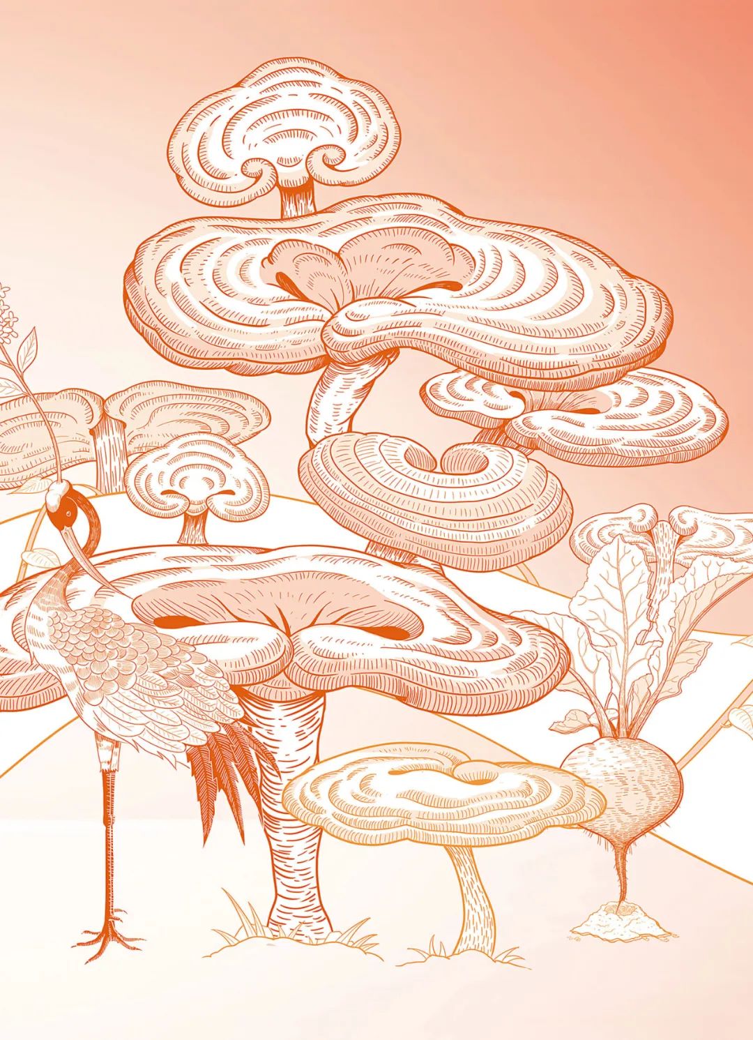 广州长隆动物园绘画,长隆动物园绘画