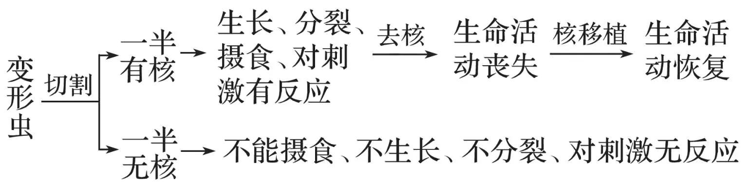 高中生物知识点易错音频,高中生物易错题400道