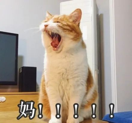 名校志向塾：迅速提升回国隔离幸福感的N个好物