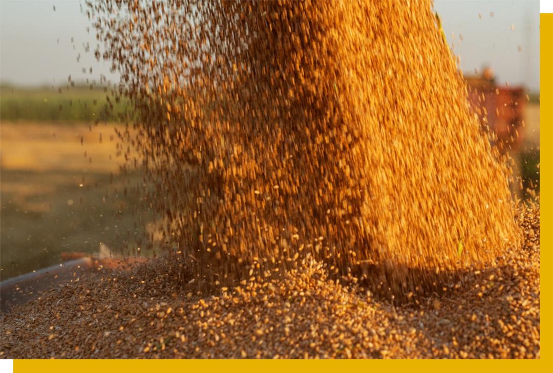 食品涨价的原因及影响,近十年涨价最厉害的商品