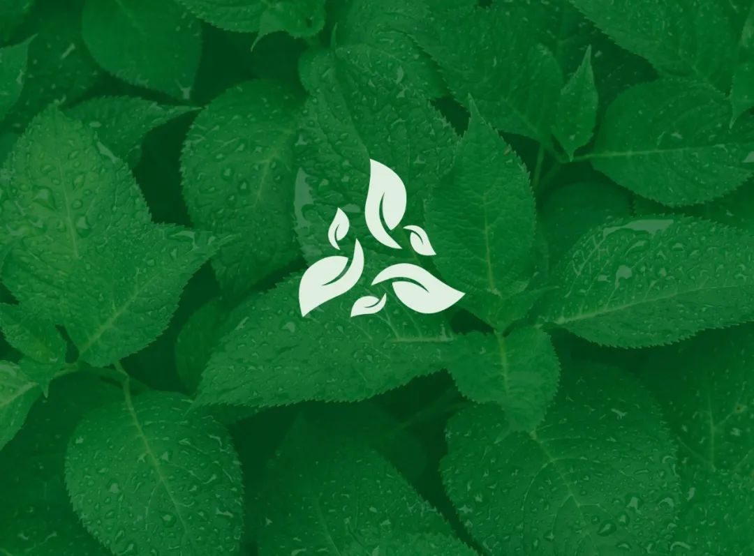 优秀logo设计欣赏简单而精致,优秀logo设计欣赏化繁为简