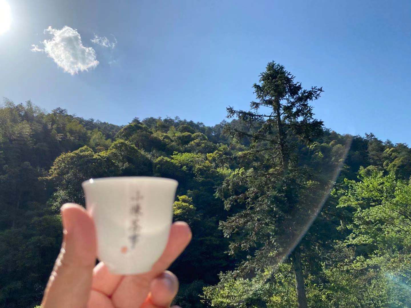 金骏眉红茶汤色,金骏眉红茶的颜色