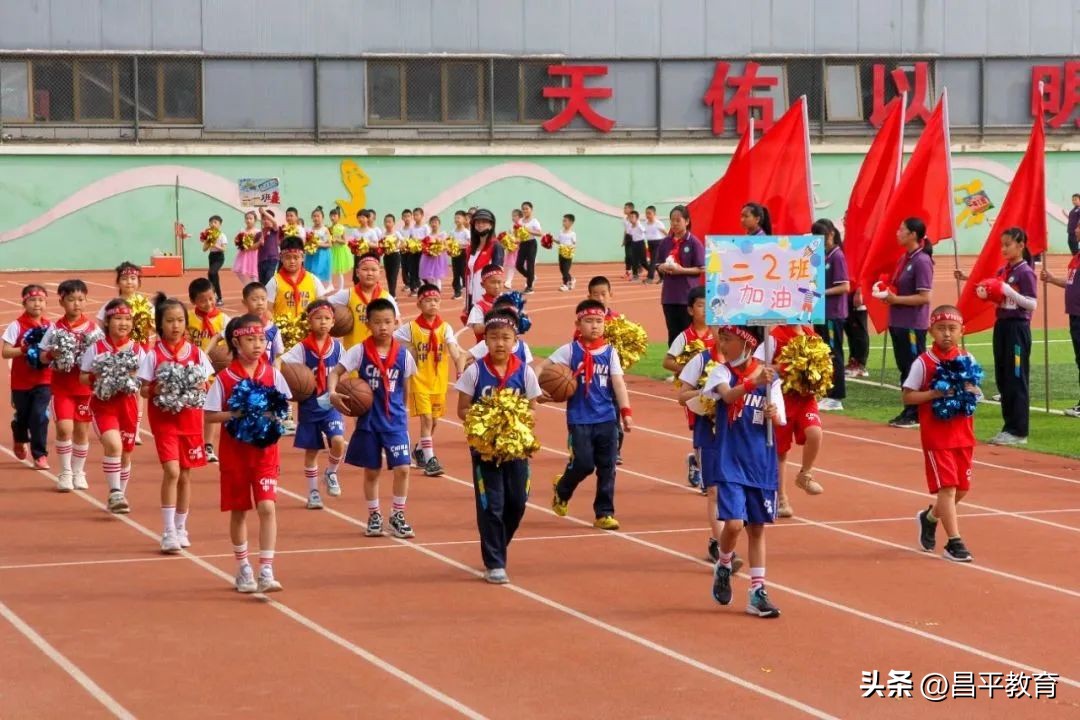 校园竞技,体育竞技青春校园