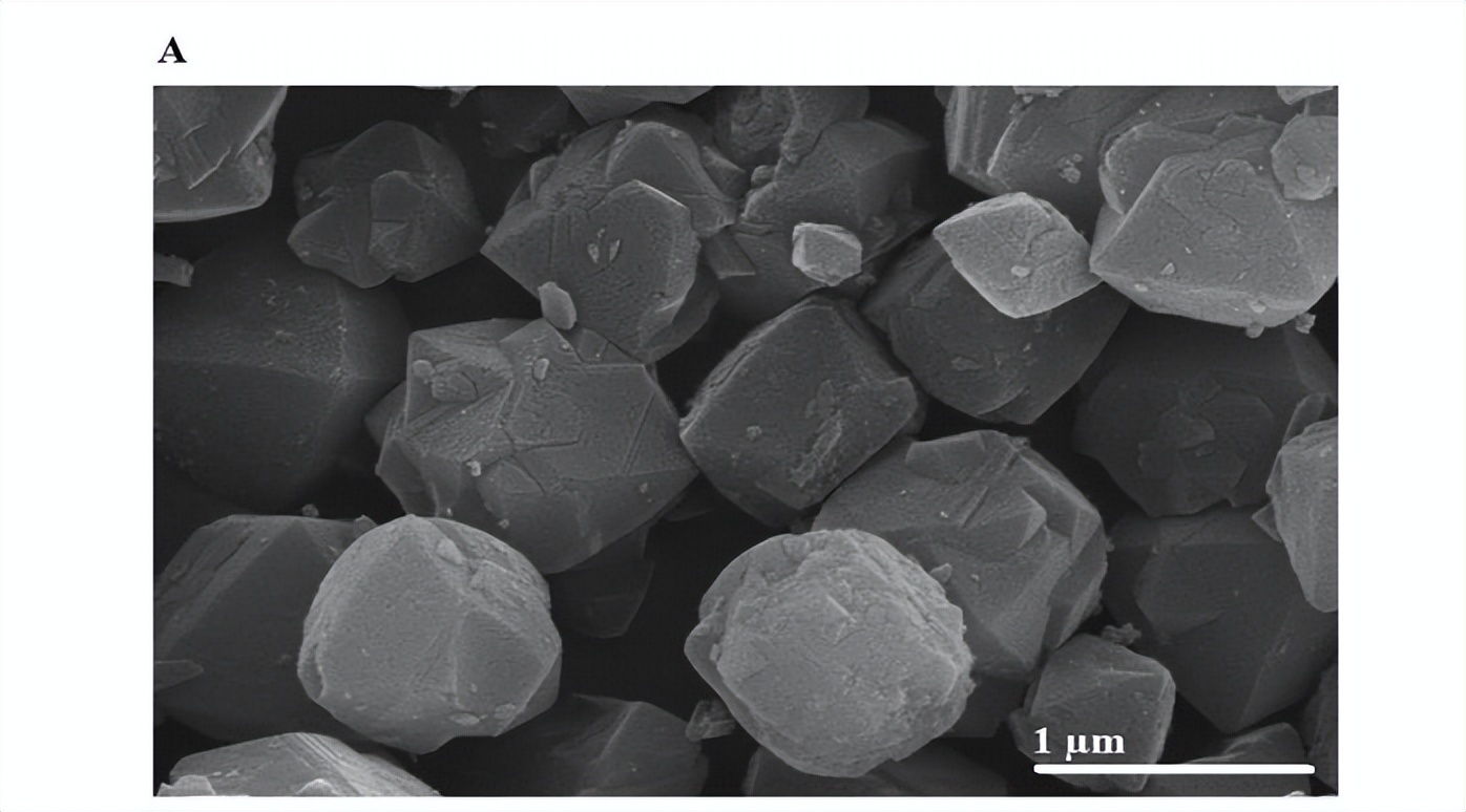 通过Fe3O4纳米复合材料，对水介质中去除Cu和Cd离子进行表征