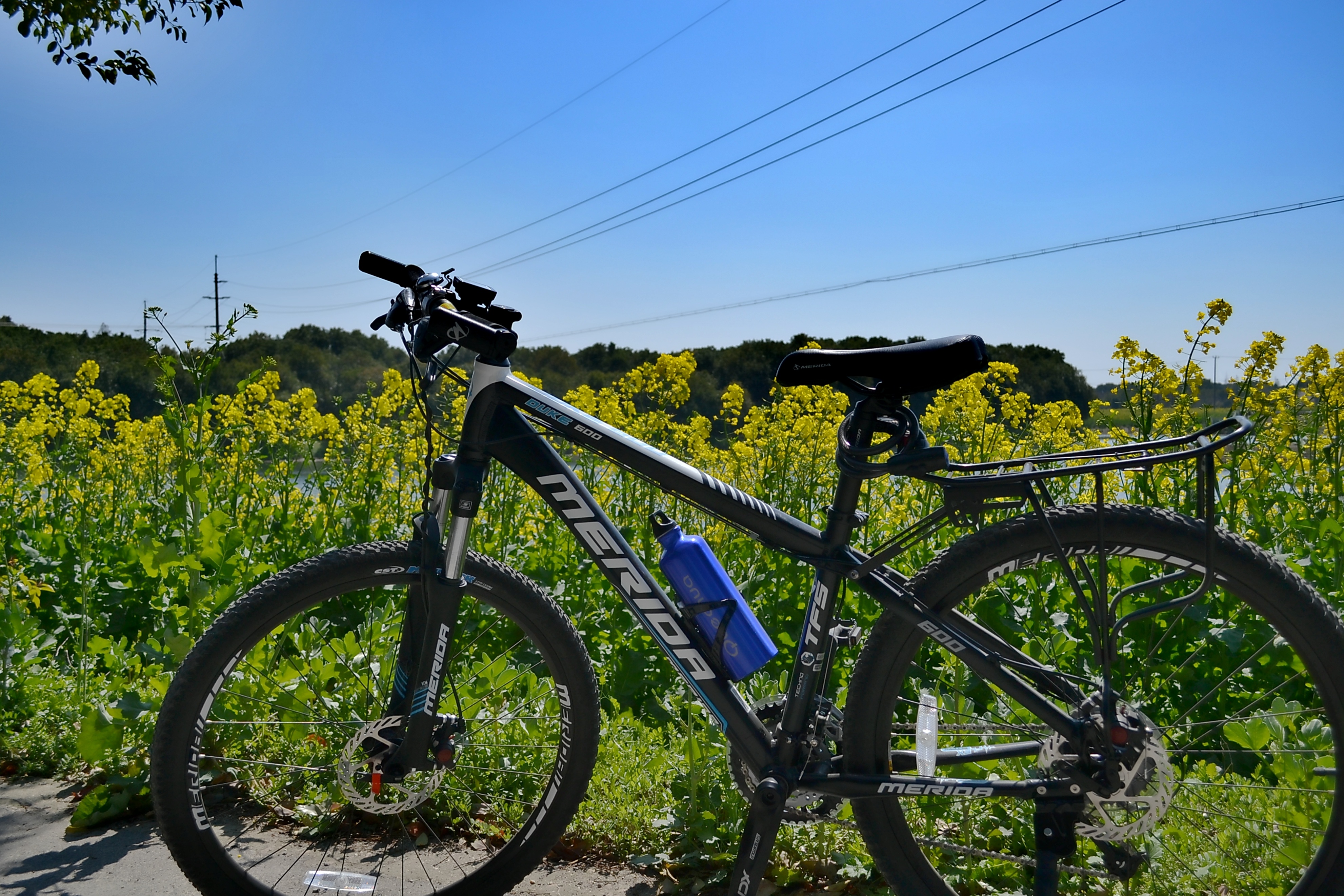 灞卞湴杞﹀窛钘忛獞琛岃,楠戣宸濊棌绾垮叆闂ㄥ北鍦拌溅