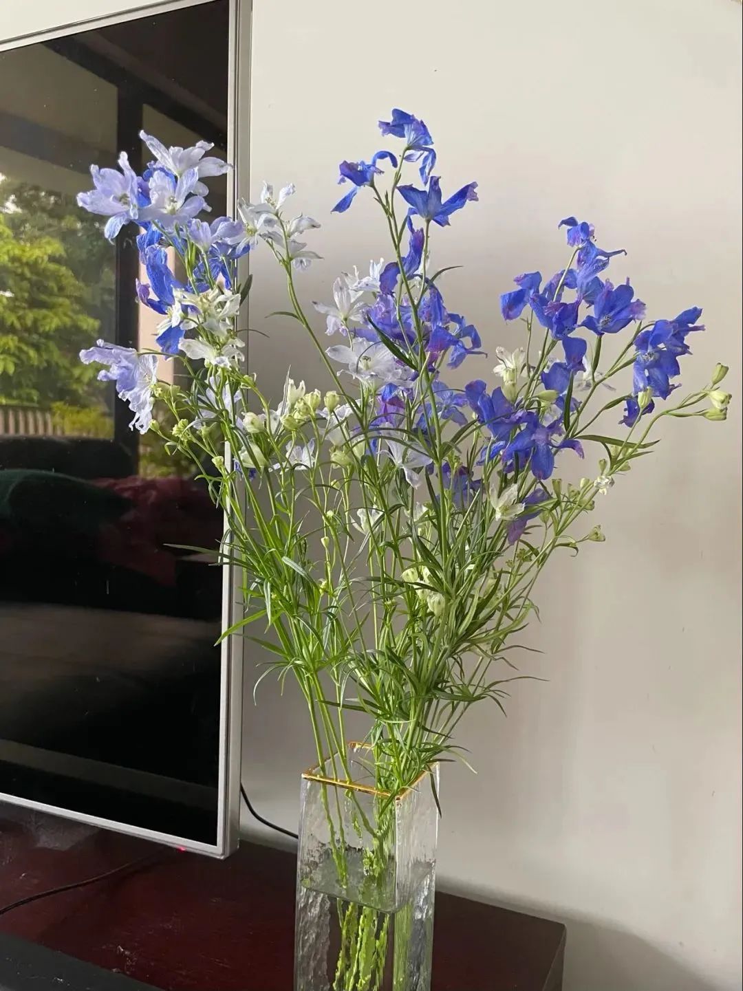 新手必看鲜花养护攻略,鲜花在水里能养几天会死