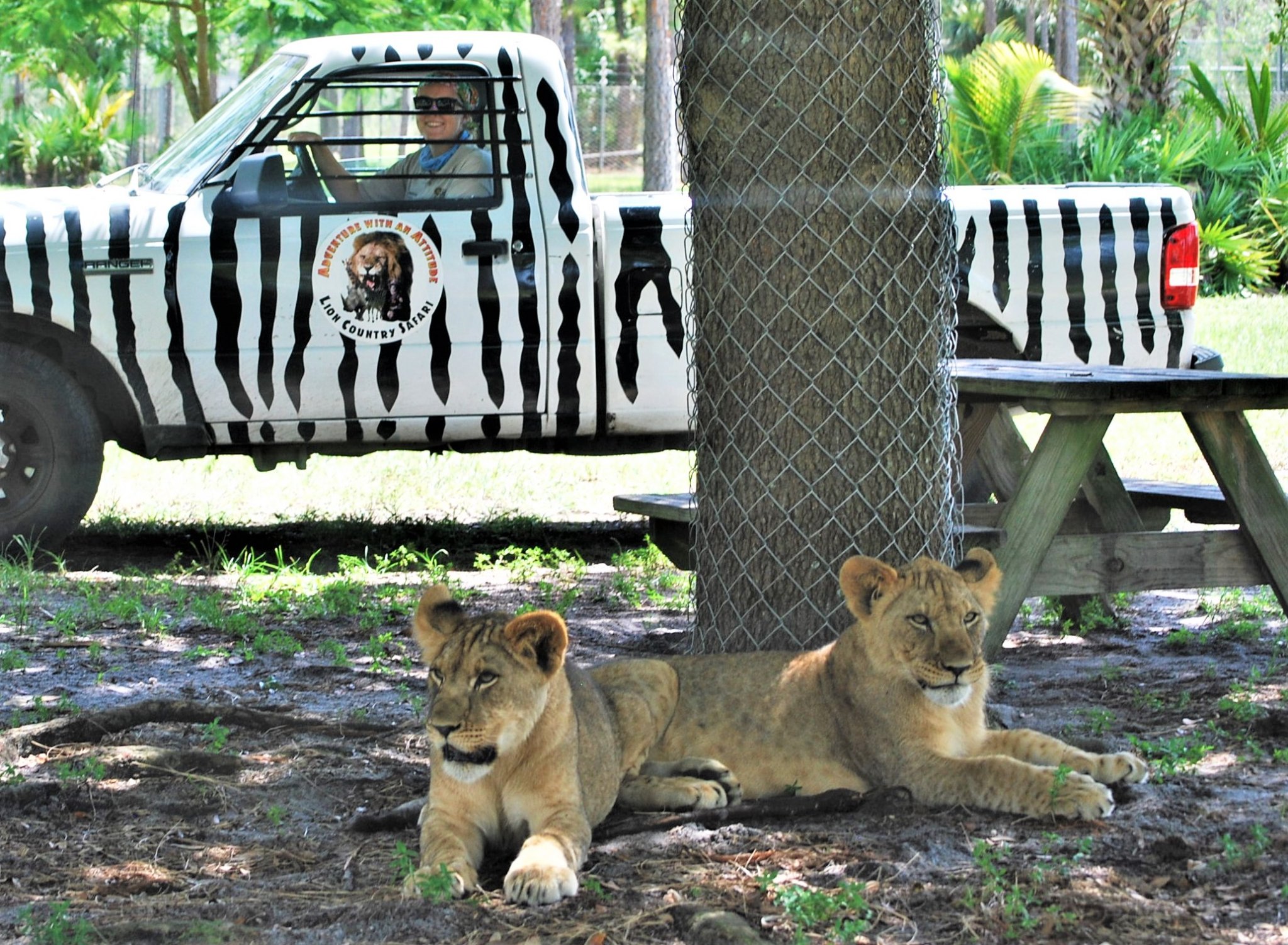 夏日游玩攻略1日游,夏日旅游攻略江浙沪