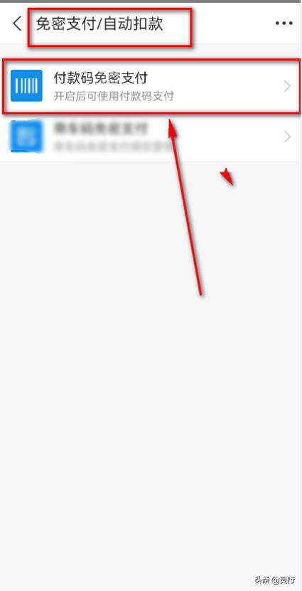 支付宝免密支付软件扣款怎么找回,支付宝免密支付扣款怎么找回来