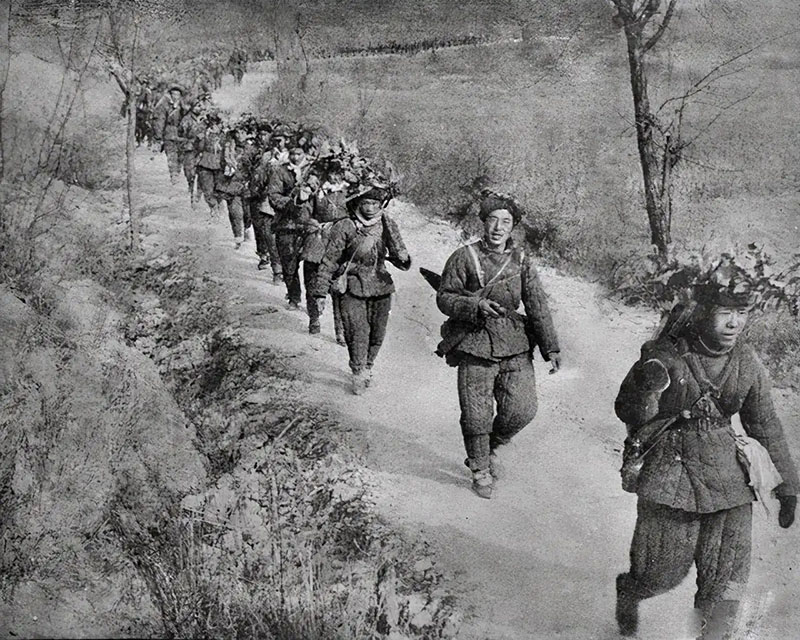 朝鲜战争我军被歼灭的一个师,志愿军全歼荷兰军团