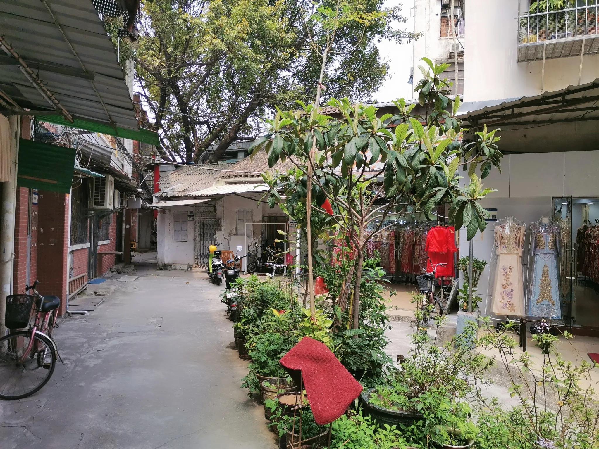 广州美食节有什么景点推荐,广州樱花观赏旅游攻略