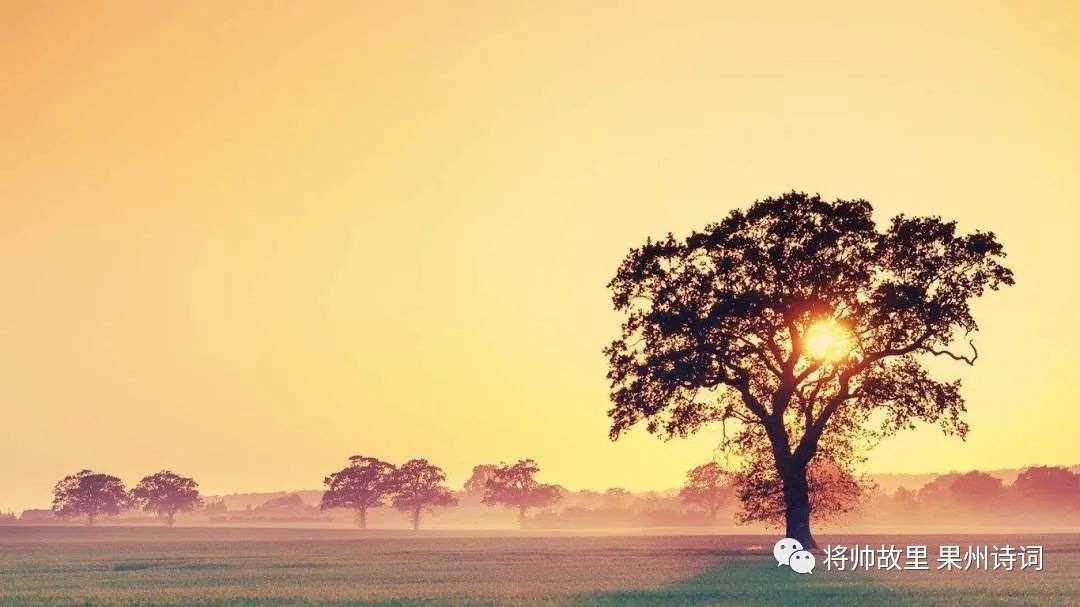 《将帅故里——果州诗词》第6期
