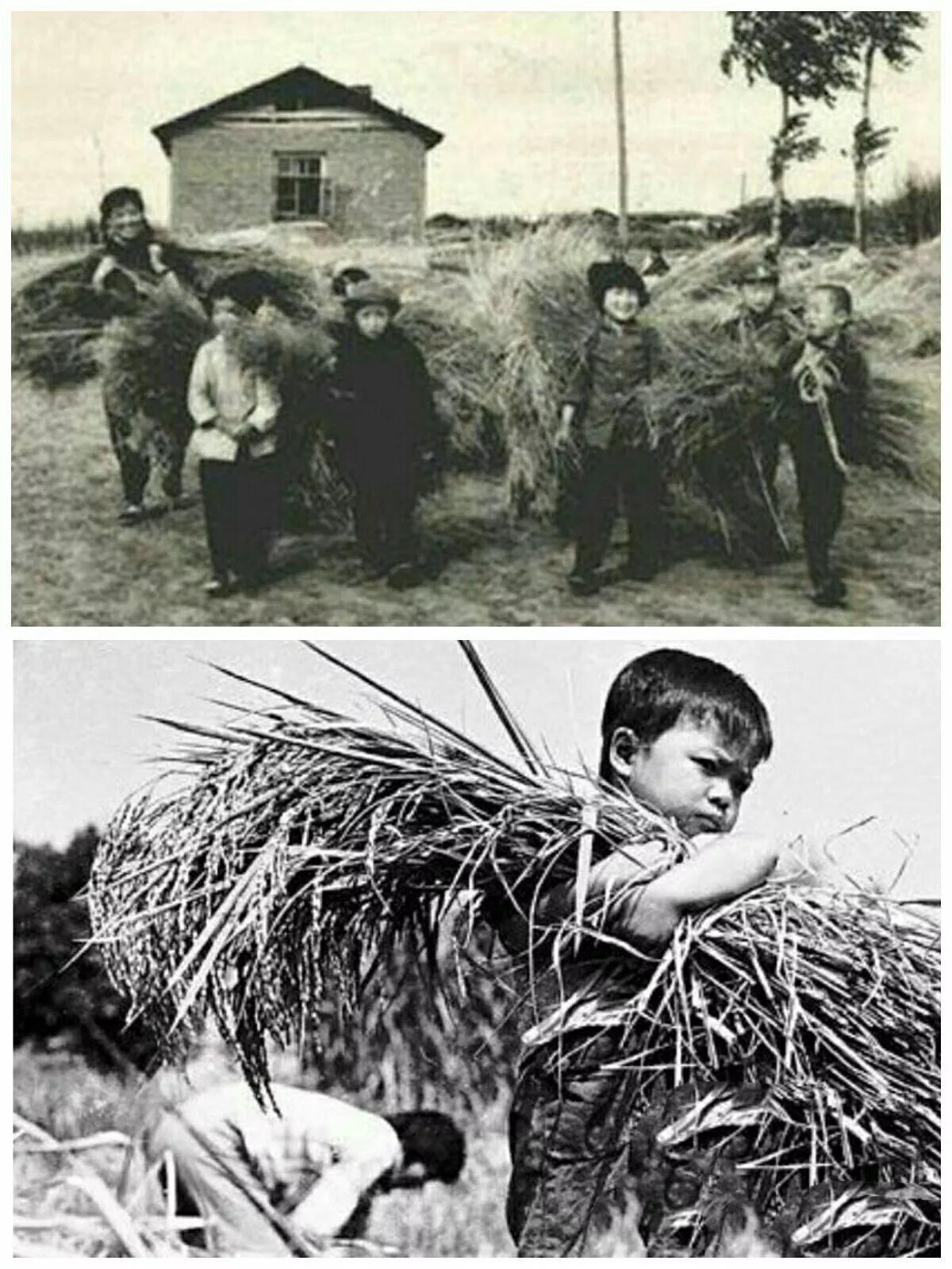 如果知道城乡、工农的差别有多大，就知道包产单干的意义有多大